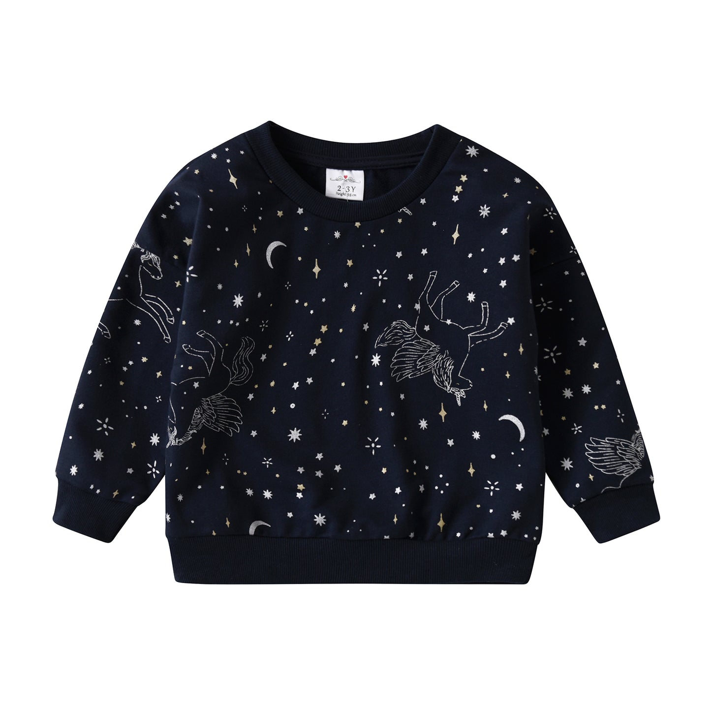 Unicorn Starry Sky Pattern Girl Toddler Sweatshirt Long Sleeve Top 3-8T